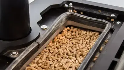 fumisterie Carantec-4