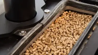 ramonage Carantec-1