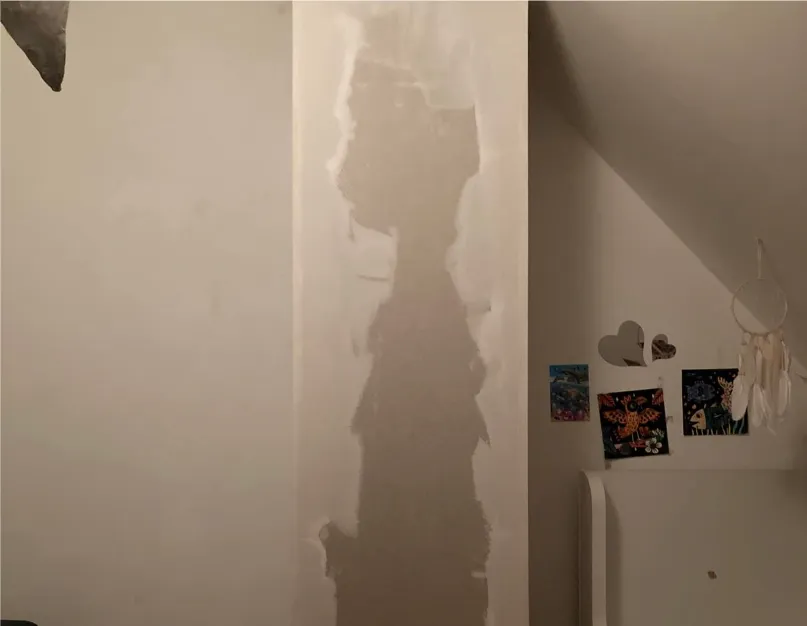 after-image